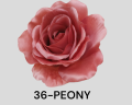 Róża wyrobowa 11 cm VIP247 12 sztuk 36-PEONY
