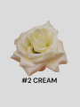 Róża Główka Kwiatowa Wyrobowa 15 cm B5 96 Sztuk 2 cream
