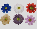 Rudbekia wyrobowa 12 sztuk KPW1047 (2)