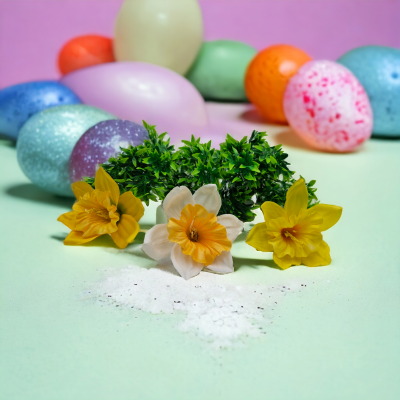 Żonkil Wyrobowy 12 cm JA36 24 sztuki