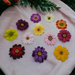 Rudbekia wyrobowa 13 cm VIP2025 12 sztuk