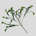 Dodatek Muchołówka 38 cm VIP6268H 6 Sztuk (2).png