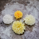 Chryzantema wyrobowa 14 cm VIP2263 12 sztuk