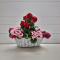 Podłużna Osłonka Wiklinowa na Kwiaty Kompozycje Biała 39 x 17 x 13 cm WO-37 (min).png
