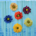Rudbekia wyrobowa 12 sztuk KPW1047