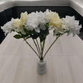 Dalia Na Łodydze VIP2516 60 cm