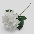 Dalia Na Łodydze VIP2516 60 cm Biała