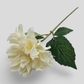 Dalia Na Łodydze VIP2516 60 cm kremowa