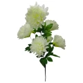 Photoroom-20240906_115721.png