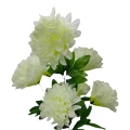Photoroom-20240906_115742.png