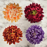 Chryzantema Wyrobowa Ananas 14 cm VIP6424 6 sztuk