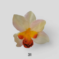 Storczyk Wyrobowy Główka Kwiatowa 18 cm VIP6371 24 Sztuki 31.png