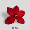 Storczyk Wyrobowy Główka Kwiatowa 18 cm VIP6371 24 Sztuki 33.png