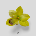 Storczyk Wyrobowy Główka Kwiatowa 18 cm VIP6371 24 Sztuki 10.png