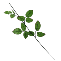 Łodyga do róży liść ozdobny 58 cm 1160-005 24 sztuki 2.png