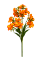Mieczyk 6 bukietów Gęsty Mix Kolorów VIP5810 58 cm (1).png