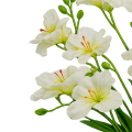 Mieczyk 6 bukietów Gęsty Mix Kolorów VIP5810 58 cm (4).png
