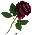 Róża Welurowa Duża Kwiat Róży Sztuczny 67cm VIP2453 26 (5).png