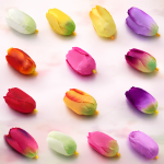 Tulipan Sztuczny Główki Kwiatowe Tulipany 7 cm ART101 24 Sztuki