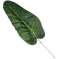 Liść duży anturium 12 sztuk 63 cm 18-LISC (2).png