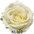 KL002t.png