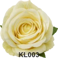 KL003t.png
