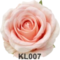 KL007t.png