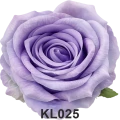KL025t.png