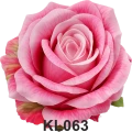 KL063t.png