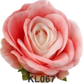 KL067t.png
