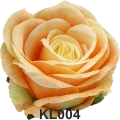 KL004t.png