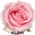 KL011t.png