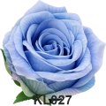 KL027t.png