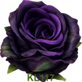KL117t.png