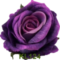KL124t.png