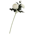 VIP6461 FG004 (1).png