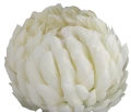 VIP6461 FG004 (3).png