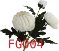 VIP6461 FG004t.png