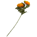 VIP6461 FG019 (1).png
