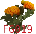 VIP6461 FG019t.png