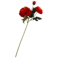 VIP6461 FG028 (1).png
