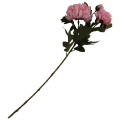 VIP6461 FG067 (1).png