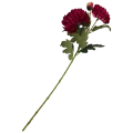 VIP6461 FG095 (1).png