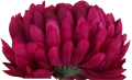 VIP6461 FG095 (3).png