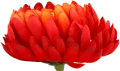 VIP6461 FG028 (3).png
