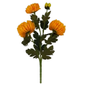 VIP6460 FG019 (1).png