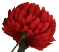 VIP6460 FG028 (3).png