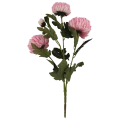VIP6460 FG067 (1).png