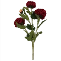 VIP6460 FG095 (1).png