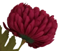 VIP6460 FG095 (3).png